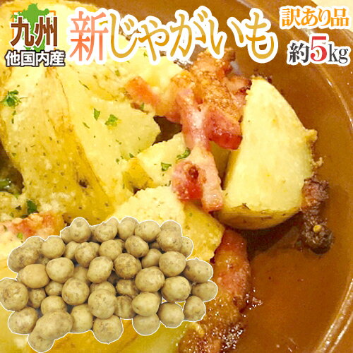 ”新じゃがいも” 訳あり 約5kg 大きさおまかせ 九州ほか国内産【予約 入荷...