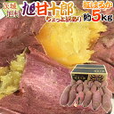 茨城県 旭村 熟成高糖度さつまいも ”旭甘十郎 紅はるか” ちょっと訳あり 約5kg 大きさおまかせ サツマイモ【予約 1月…