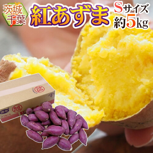 千葉・茨城県産 ”紅あずま” Sサイズ 約5kg さつまいも【予約 入荷次第発送】