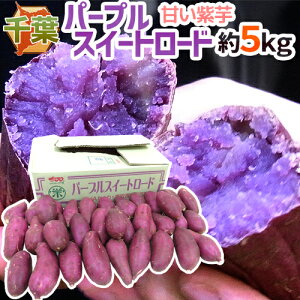 千葉県産 ”パープルスイートロード” 秀品 約5kg 紫芋 さつまいも【予約 10月以降】 送料無料
