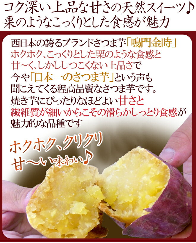 徳島県産 ”鳴門金時” 訳あり 約10kg 大きさおまかせ さつまいも【予約 入荷次第発送】