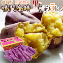 徳島県産 ”鳴門金時 里むすめ” 秀品 M〜Lサイズ 約5kg さつまいも【予約 入荷次第発送】