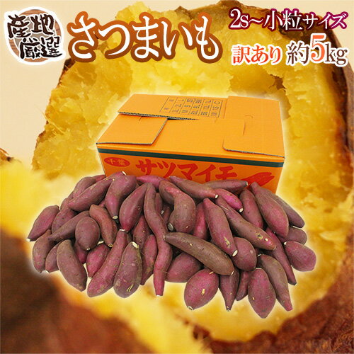 ”さつまいも” 訳あり 2S〜小粒サイズ 約5kg 品種おまかせ 産地厳選【予約 9月末以降】 送料無料