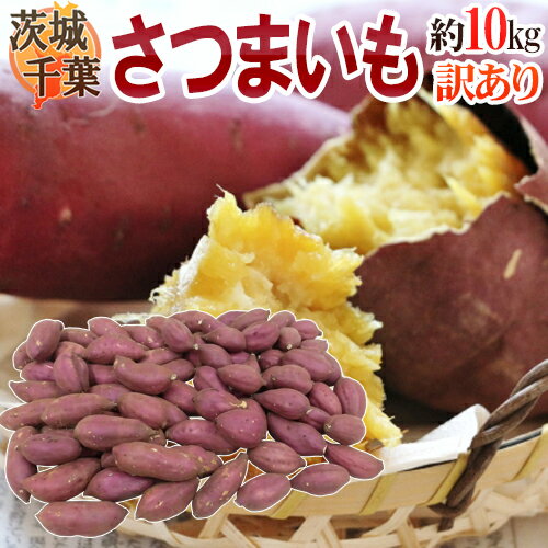 ”さつまいも” 約10kg 千葉・茨城産 訳あり 紅あずま・紅こがね・紅まさり・紅はるか 品種おまかせ 送料..