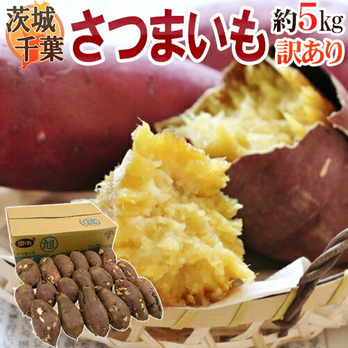 【送料無料】千葉・茨城産 ”さつまいも” 訳あり 約5kg 紅あずま・紅こがね・紅まさり・紅はるか 品種おまかせ