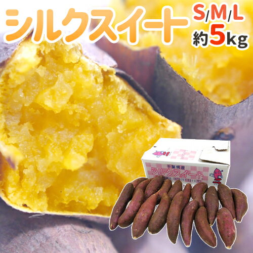 ”シルクスイート” 秀品 S・M・Lサ