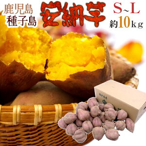 種子島産 ”安納芋” S〜Lサイズ 約10kg【予約 10月下旬以降】 送料無料