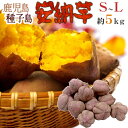 【送料無料】種子島産 ”安納芋” S?Lサイズ 約5kg【予約 10月下旬以降】【楽ギフ_包装】