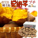【送料無料】種子島産 ”安納芋” プチサイズ 約3kg【予約...