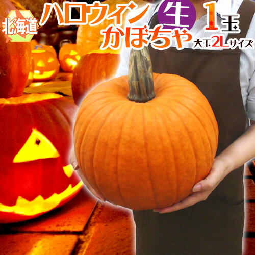 ジャックオーランタンを手作り!大きいハロウィンかぼちゃの通販 ジャックオーランタンを手作り!大きいハロウィンかぼちゃの通販