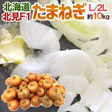 【送料無料】北海道 北見F1 ”たまねぎ” 秀品 約10kg 大玉L〜LLサイズ 玉葱【予約 8月末以降】