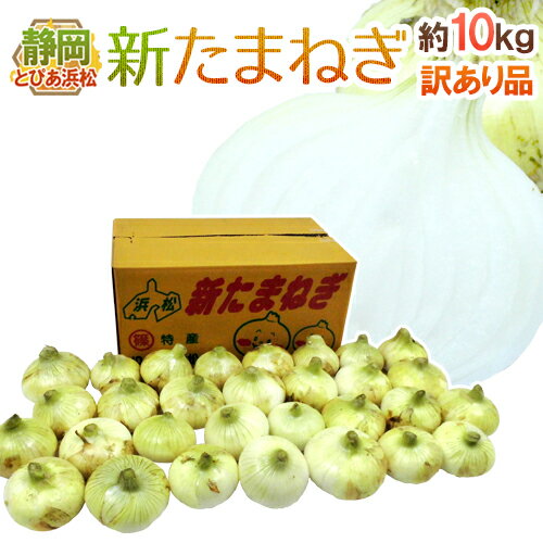 静岡県 JAとぴあ浜松産 ”新たまねぎ” 訳あり 約10kg 大きさおまかせ 玉葱【予約 2月末以降】 送料無料のサムネイル