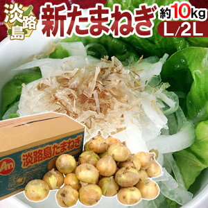 兵庫県 淡路島産 ”新たまねぎ” 秀品 L/2L 約10kg【予約 4月末以降】 送料無料