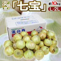 兵庫県 淡路島産 ”新たまねぎ 七宝” 秀品 L/2L 約10kg【予約 5月中旬以降】 送料無料