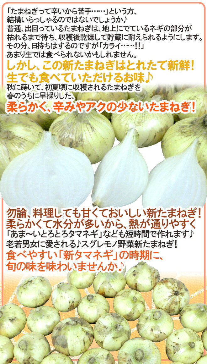 【送料無料】”新たまねぎ” 訳あり 約10kg 九州・四国・淡路・北海道 産地厳選【予約 3月下旬以降】