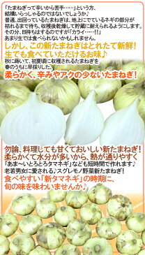 【送料無料】産地厳選 ”新たまねぎ” 秀品 約10kg L/2Lサイズ 九州・四国・淡路・北海道産【予約 3月下旬以降】