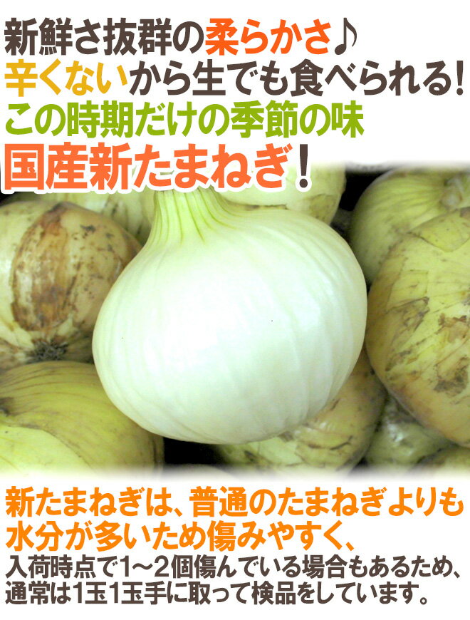 【エントリーで200Pプレゼント】【送料無料】”新たまねぎ” 訳あり 約9〜10kg 大きさおまかせ 検品なし 九州・四国・淡路・北海道 産地厳選