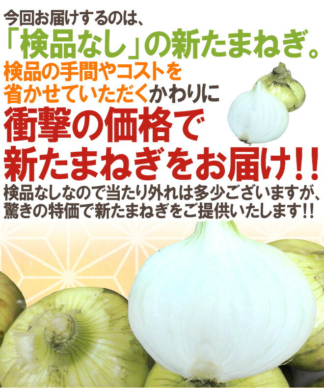 【エントリーで200Pプレゼント】【送料無料】”新たまねぎ” 訳あり 約9〜10kg 大きさおまかせ 検品なし 九州・四国・淡路・北海道 産地厳選