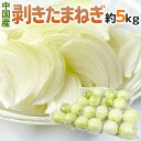 真空パック ”中国産 剥きたまねぎ” 約5kg 大きさおまかせ