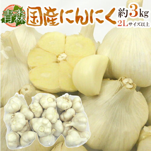 ”青森県 国産にんにく” 約3kg 等級A/B 2Lサイズ以上 送料無料