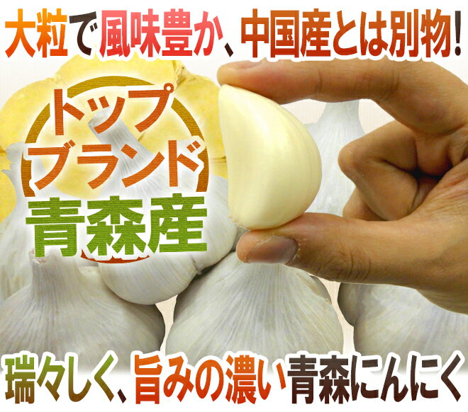 青森県 ”国産にんにく” 約3kg 等級A/B 2Lサイズ以上 送料無料 2