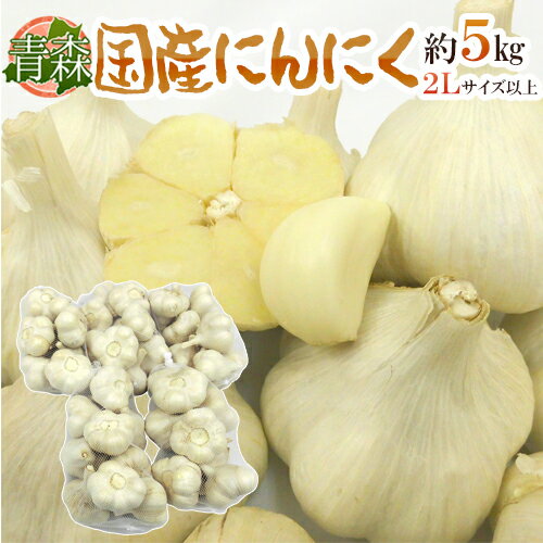 ”青森県 国産にんにく” 約5kg 等級A/B 2Lサイズ以上 送料無料