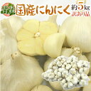 青森県 訳あり ”国産にんにく” 約5kg 大きさおまかせ 送料無料