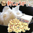 きざみしょうが醤油味 220g 601780(冷凍食品 業務用 おかず お弁当 ショウガ 生姜 漬物 つけもの)