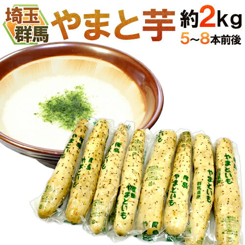 群馬・埼玉 ”やまと芋” 5～8本前後 約2kg やまといも/山芋/長芋 送料無料