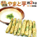 群馬 埼玉 ”やまと芋” 5〜8本前後 約2kg やまといも/山芋/長芋 送料無料