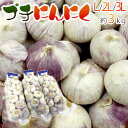 ”プチにんにく” L/2L/3L 約3kg 送料無料