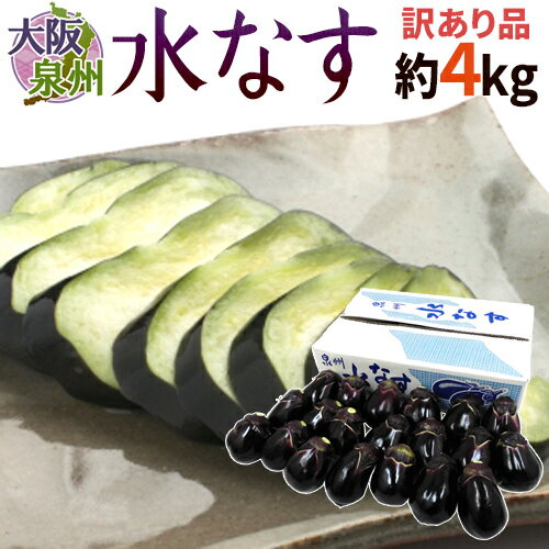 大阪泉州 ”水なす” 風袋込約4kg 訳あり ご家庭用【予約 3月以降】 送料無料