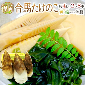 春の旬食材をお取り寄せ！最高に美味しい福岡産のたけのこのおすすめは？