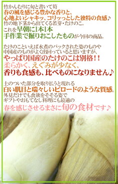 【送料無料】”新たけのこ” 秀品 3〜6本 約4kg 西日本産（九州・四国）【予約 3月下旬〜4月】