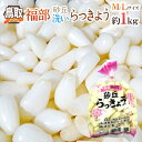 洗いらっきょう 鳥取 JAいなば 福部産 ”砂丘らっきょう” M/Lサイズ 約1kg《5キロ購入で送 ...