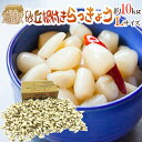 y傤 Y hu傤h Gi LTCY 10kg \ 5ȍ~   