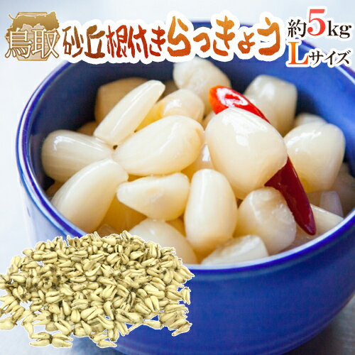 土らっきょう ”鳥取産 砂丘らっきょう” 秀品 Lサイズ 約5kg【予約 5月末以降】 送料無料