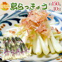 鹿児島県 ”島らっきょう” 約150g×10袋 約1.5kg 大きさおまかせ【予約 1月末以降】 送料無料