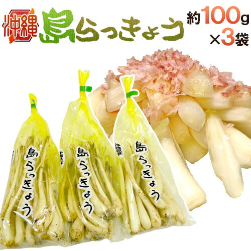 沖縄県 ”島らっきょう” 約100gx3袋 約300g 大きさおまかせ【予約 入荷次第発送】 送料無料