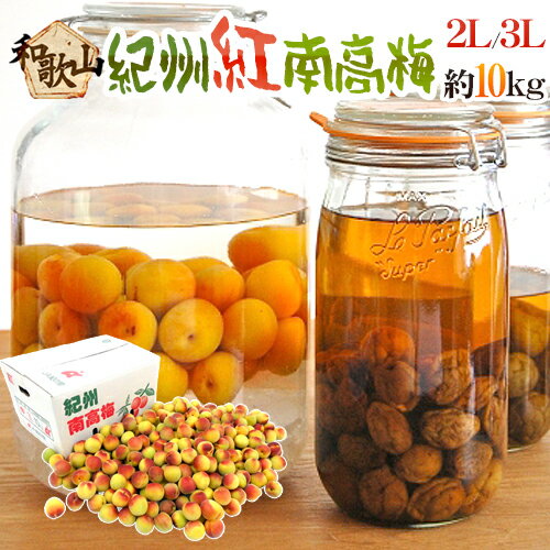 紀州・和歌山産 ”紅南高梅” 秀品 2L〜3L 約10kg【予約 5月下旬以降】 送料無料