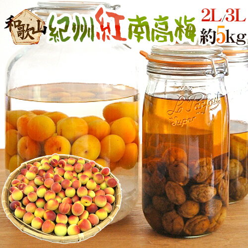”紀州・和歌山産 紅南高梅” 秀品 2L~3L 約5kg【予約 5月下旬以降】 送料無料