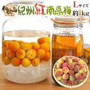 ”紀州・和歌山産 紅南高梅” 秀品 L 約1kg《10キロ以上ご購入で送料無料》【予約 5月下旬以降】