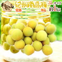 完熟 ”紀州・和歌山産 南高梅” 秀品 3Lサイズ 約1kg《10キロ購入で送料無料》【予約 6月以降】