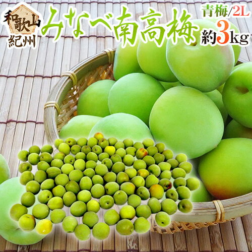”紀州・和歌山産 みなべ南高梅 青梅” 2L 約3kg【予約 5月中旬以降】 送料無料