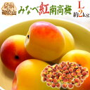 紀州・和歌山産 ”みなべ紅南高梅” 秀品 L 約2kg【予約 5月末以降】 送料無料