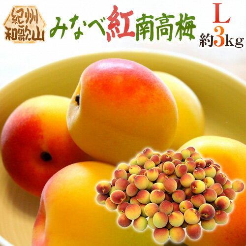 ”紀州・和歌山産 みなべ紅南高梅” 秀品 L 約3kg【予約 5月末以降】 送料無料 ”紀州・和歌山産 みなべ紅南高梅” 秀品 L 約3kg【予約 5月末以降】 送料無料
