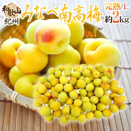 紀州・和歌山産 ”みなべ南高梅 熟梅” 秀品 L 約2kg【予約 6月以降】 送料無料