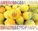 紀州・和歌山産 ”みなべ南高梅 熟梅” 秀品 L 約3kg【予約 6月以降】 送料無料 2