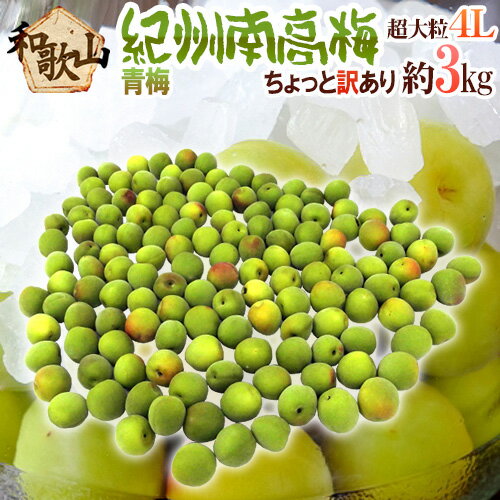 ”紀州・和歌山産 南高梅 青梅” ちょっと訳あり 4L 約3kg【予約 5月中旬以降】 送料無料 ”紀州・和歌山産 南高梅 青梅” ちょっと訳あり 4L 約3kg【予約 5月中旬以降】 送料無料