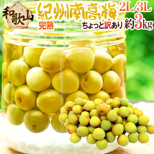 楽天市場】完熟梅 3kg(食品)の通販 楽天市場】完熟梅 3kg(食品)の通販